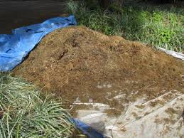 horse manure ile ilgili görsel sonucu