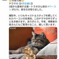 News source: Yahoo!ニュース