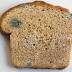 Black bread mold