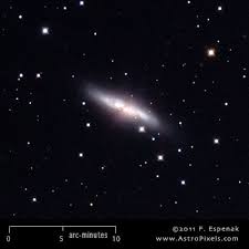 Image result for galaxy m82