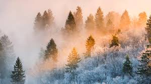 VIDEO: Vești bune de la meteorologi: Scăpăm de ger, temperaturile cresc în toată țara și vor urca până la 10 grade