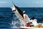 Maui deep sea fishing charters