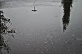 Heavy rain expected for Friday across parts of Central Alberta