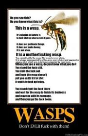 Funny quotes on Pinterest | Pest Control, Garden Pests and Llamas via Relatably.com
