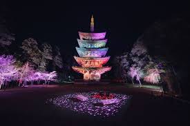 【大河ドラマ『豊臣兄弟！』で話題】秀吉が愛した「醍醐の花見」を親子で体験！ 春の京都・歴史さんぽ（HugKum）