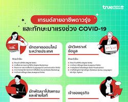 รูปภาพอาชีพนักพัฒนาโซเชียลมีเดีย