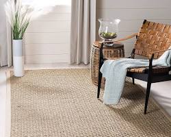Living room with rug with natural fiber