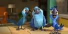 rio 2 cast parrots singing real songs in school
