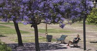 Feriados 2026: ¿Cuándo comienza el próximo fin de semana largo en Argentina?