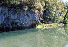 Image result for "Current River"