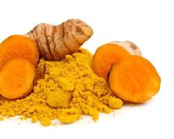 Turmeric herb