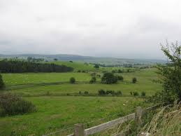 Image result for bank newton flight images