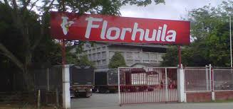 Resultado de imagen para ROA FLORHUILA S.A.
