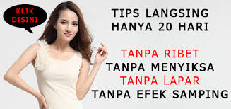 Image result for wanita langsing