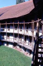 Bildergebnis für tartlau kirchenburg