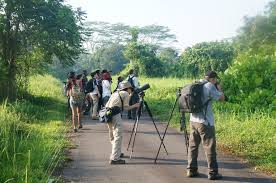 Image result for Bird watchers