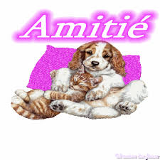 Résultats de recherche d'images pour « amitié images animées »