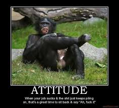 Attitude.. | Awww.. Work.. | Pinterest | Funny Friday, Quotes ... via Relatably.com