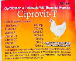 Gambar Diarrhea in chickens with Gumboro