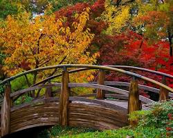 Image of Japanese Garden, Fort Worth