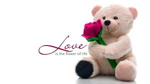 Image result for happy teddy bear day