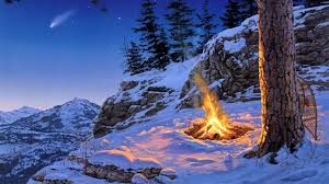 Image result for campfire images