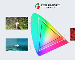 Image of Sony Triluminos Display