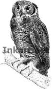 Résultat de recherche d'images pour "owl ink drawing"