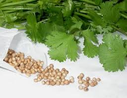 Image result for CORIANDER