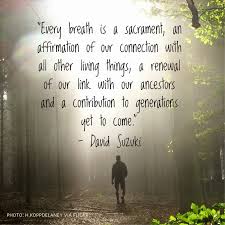 Inspiration on Pinterest | David Suzuki, Nature and Aboriginal People via Relatably.com