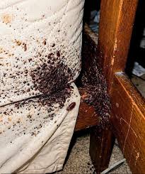 What is this? Tucked in the gap of the sofa... please don't ...