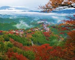 吉野山の紅葉の画像