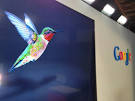 percakapan dan pembahasan optimasi SEO Algoritma google hummingbird terbaru