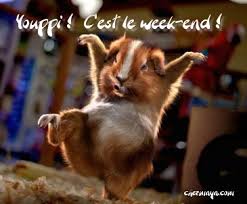 Résultat de recherche d'images pour "bon week end"