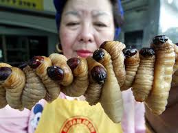 insecte degueulasse ile ilgili görsel sonucu