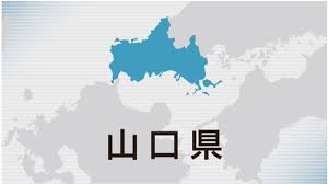 中国新聞デジタル - News update