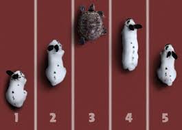 英和画像辞典：(the competition)の意味は画像で解説！見るだけで「the competition」の意味が分かる・覚えられる 