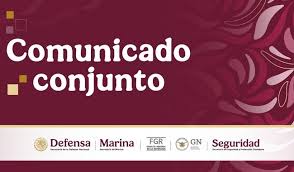 EN QUINTANA ROO, AUTORIDADES FEDERALES Y LOCALES DETUVIERON A UN SUJETO DE LOS 10 MÁS BUSCADOS EN EUROPA