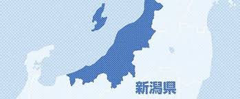 Yahoo!ニュース - News update