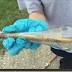 Jacksonvillewoman finds a message in a bottle