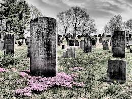 Hell-High Cemetery Images?q=tbn:ANd9GcT_AKwfMBUcYbNFTfGqvhBl8RzZCmg55PyLFXV7okv_eR1O9BepDQ
