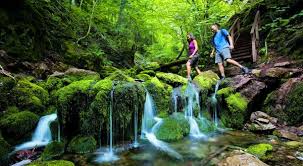 people enjoying the wonders of nature on one of many trails.