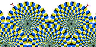 Résultat de recherche d'images pour "rotating snakes"