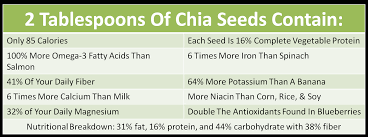 Image result for chia seeds