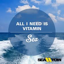 All I need is vitamin sea. | Beach Life | Pinterest via Relatably.com