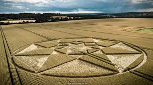 2023 Circles: Chillandham Lane, nr Winchester, Hampshire (2) | The Croppie