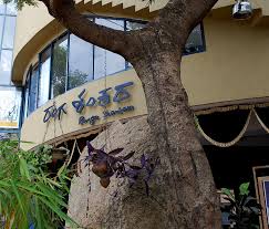 Image result for ranga shankara