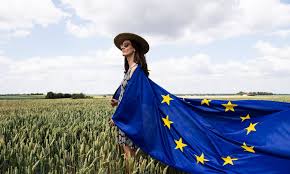 caleaeuropeana.ro - News update
