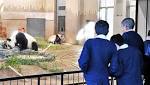 cute: Tokyo crowds flock baby