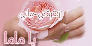 زهرة في حياتي  Images?q=tbn:ANd9GcT_ZpjCNXsRBWYDcsfNnKshQ4D4pUYelIMXmYdCGDJ0eNcIPacL